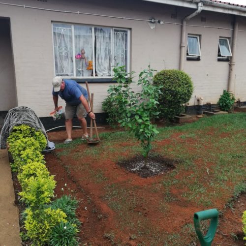 IMG-20191112-WA0030 IMG-20191112-WA0030